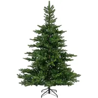 Everlands Grandis Tanne Grün 180 cm