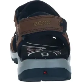 ECCO Offroad Herren espresso/cocoa 43