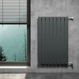 WITEN&NOCK Designheizkörper 610 x 460 mm 623 W anthrazit Seitenventil