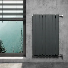 WITEN&NOCK Designheizkörper 610 x 460 mm 623 W anthrazit Seitenventil