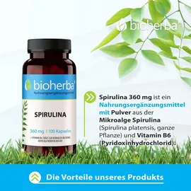 Bioherba Spirulina Kapseln 100 St.