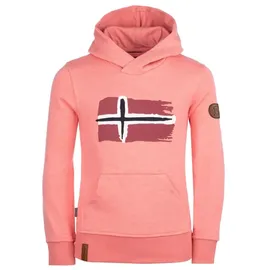 TROLLKIDS Hoodie Pullover mit Kapuze "Trondheim" in Antik-Rosa | Gr.: 164