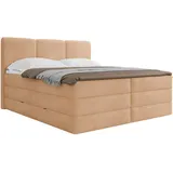 Roller Boxspringbett - terracotta - H2/H3 - inklusive Topper - 160x200 cm