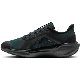 Nike Pegasus 41 Herren Schwarz 45