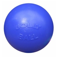 Jolly Pets Hundespielzeug Push-n-Play, 25 cm, Blau