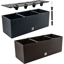 Prosperplast Rato Case 51,4 x 19 x 18,65 cm Anthrazit