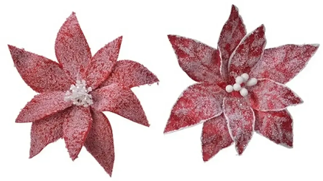 Decoris Kunst Weihnachtsstern |  bitte wähle dein Wunschdesign aus