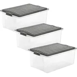 Rotho Aufbewahrungsbox Compact 57,5 x 40,0 x 25,0 cm 3-tlg. grau/transparent