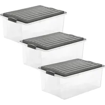 Rotho Aufbewahrungsbox Compact 57,5 x 40,0 x 25,0 cm 3-tlg. grau/transparent
