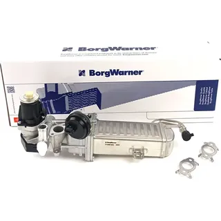 BorgWarner (Wahler) AGR-Modul mit Dichtungen