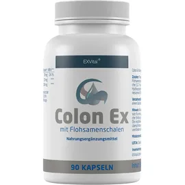 Exvital Colon Ex Kapseln 90 St.
