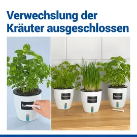 Maximex Selbstbewässernde Pflanztöpfe Ø 13 x 13,5 cm Weiß