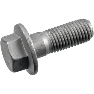 FEBI BILSTEIN Schraube, Bremssattel 181220