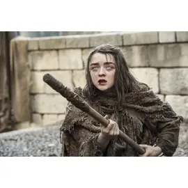 Game of Thrones - Staffel 6 (DVD)