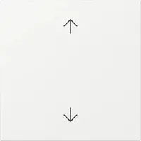 Gira Wippe Pfeile System 55 361603