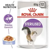 Royal Canin Multipack Sterilised in Gelee 12 x 85 g