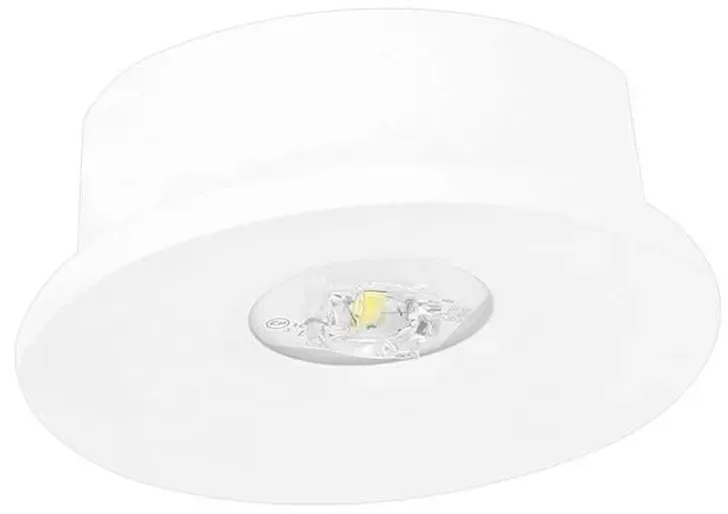 Fischer LED-Sicherheitsleuchte AXE815SC.V2