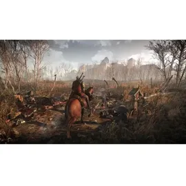 The Witcher III: Wild Hunt - Game of the Year Edition (PEGI) (PS4)