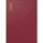 Baier & Schneider Taschenkalender Mod. perfect/Technik I 2027 A6 rot