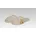 Licardo Pantoffeln Beige 38