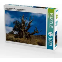 Calvendo Ancient Bristlecone Pine Forest, Kalifornien Puzzle