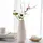 Villeroy & Boch Collier 26 cm beige