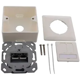 InLine Cat.6A Anschlussdose AP/UP 2x RJ45 Buchse RAL9010 weiß waagrecht