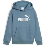 Puma Hoodie Coolblue 104