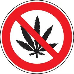 Dreifke® Verbotsschild Cannabis verboten, praxisbewährt, Aluminium, Ø 200mm