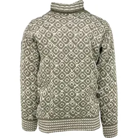 Devold Svalbard High Neck Pullover Oliv L
