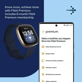 Fitbit Versa 3 altrosa/aluminium softgold