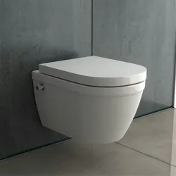 Alpenberger Hänge WC Komplettset mit Geberit Spülkasten Drückerplatte und Bausatz | Spülrandlose Dusch Toilette mit Armatur| Wand WC Vorwandelement WC