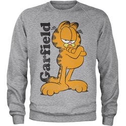 Garfield Rundhalspullover grau