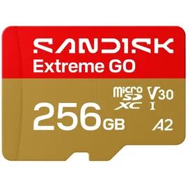 SanDisk Extreme GO 256 GB SDSQXGN-256G-GN6MN