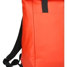 Zwei Cargo CAR260 Coral