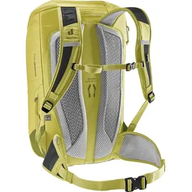 Deuter Rotsoord 25+5 linden-cactus