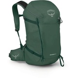 Osprey Skarab 30 30 l