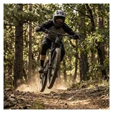 RockShox Federgabel RockSh.Psylo Gold Isolator RC 27.5"Boost,15x110mm,160mm,sw,44offset,DA