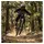 RockShox Federgabel RockSh.Psylo Gold Isolator RC 27.5"Boost,15x110mm,160mm,sw,44offset,DA
