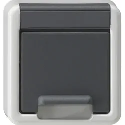 Gira Abdeckung, grau, Ersatzteil, 494230