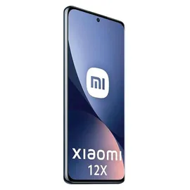 Xiaomi 12X 8 GB RAM 256 GB Gray