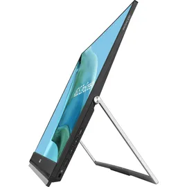 Asus ZenScreen MB249C 24"