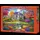 Castorland Puzzle 3000 pièces : Le Jardin des rêves