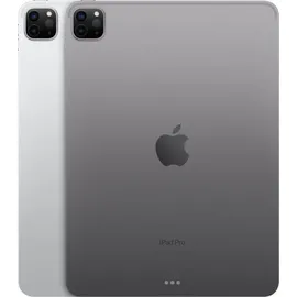 Apple iPad Pro 11" (4. Generation 2022) 256 GB Wi-Fi space grau