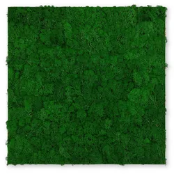Wandpaneel MODULAR WALL
