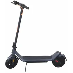 Denver Electroroller SEL-10360 DONAR , 36 V, 7800 mAh, 350 W Motor