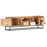 vidaXL TV-Schrank 120x30x40 cm Altholz Massiv Modell 9