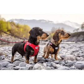 Curli Clasp Softshell schwarz 2XS