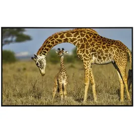 Papermoon Infrarotheizung Massai Giraffe 800 W Bunt