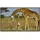 Papermoon Infrarotheizung Massai Giraffe 800 W Bunt